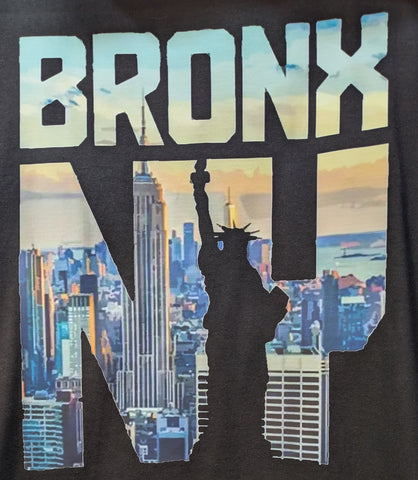 Bronx NY Statue of Liberty